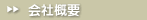 ЊTv